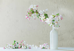 白色背景花瓶中的春花
