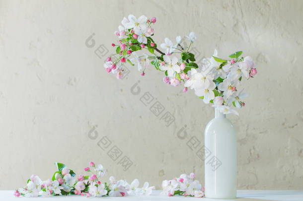 白色背景花瓶中的春花