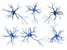 一组不同的蓝色神经元在白色背景上分离。3d r