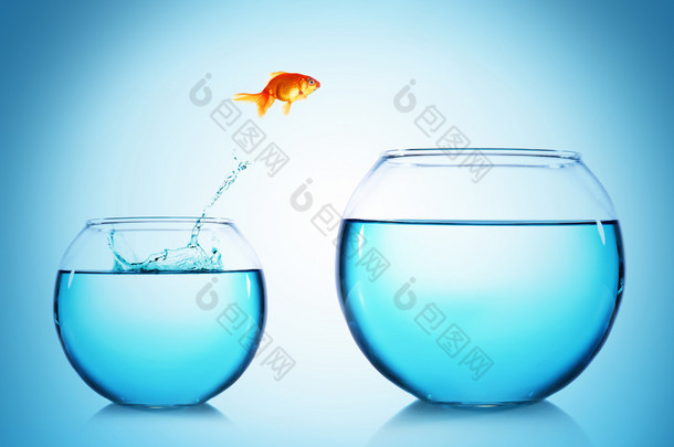 金鱼从玻璃水族箱，在蓝色背景上跳下来