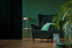 豪华客厅的绿色天鹅绒扶手椅