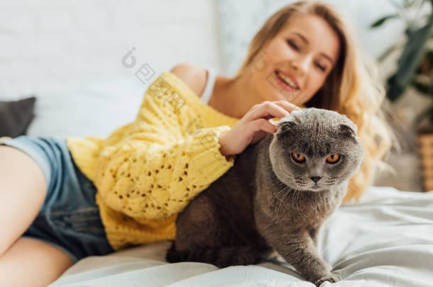 美丽的女孩在针织毛衣抚摸苏格兰折叠猫, 而躺在床上在家里