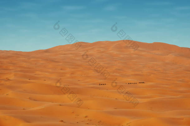撒哈拉沙漠摩洛哥
