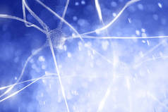 数字网络背景下的脑蓝色抽象神经元