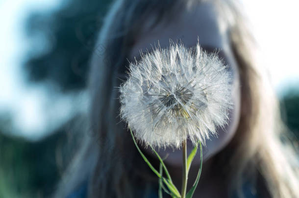 孩子手中的花.