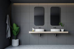 灰色瓷砖浴室内饰, 双水槽