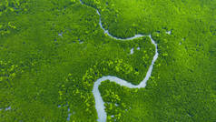 泰国的空中红树林丛林，热带红树林的河流