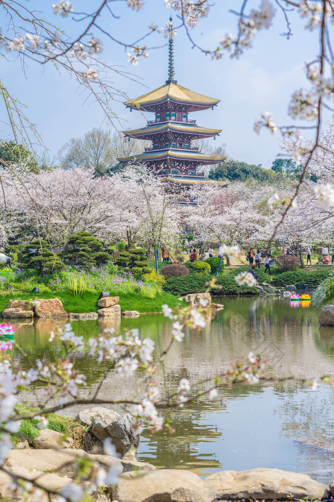 武汉樱花花园春天的风景 窗边风景