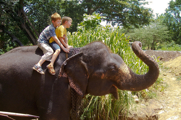 男孩骑在大象的背上