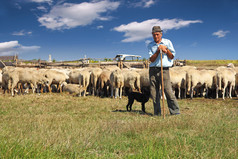 牧羊人与放牧绵羊