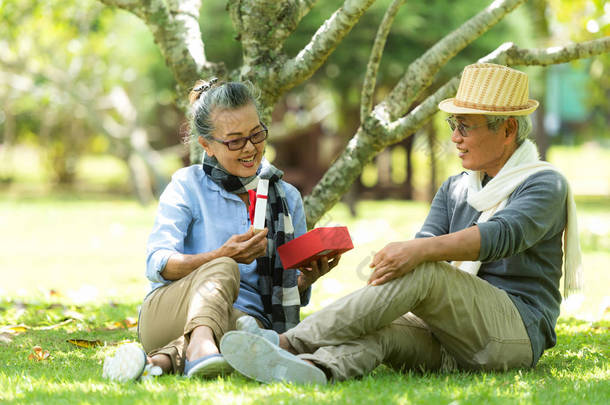 亚洲生活方式老年夫妇惊喜<strong>礼物</strong>特别一天在自然公园快乐和放松的时间。老人家庭休息和退休后在假期寒意