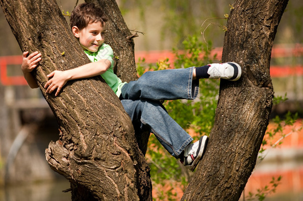 男孩爬上树