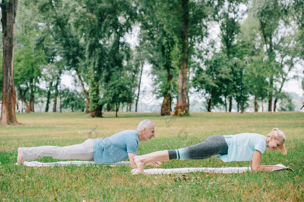 成熟的男人和女人做木板锻炼，而练习瑜伽在瑜伽垫在公园