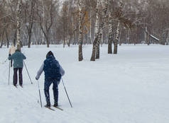 两个老人去冬季公园滑雪。从后面的视图