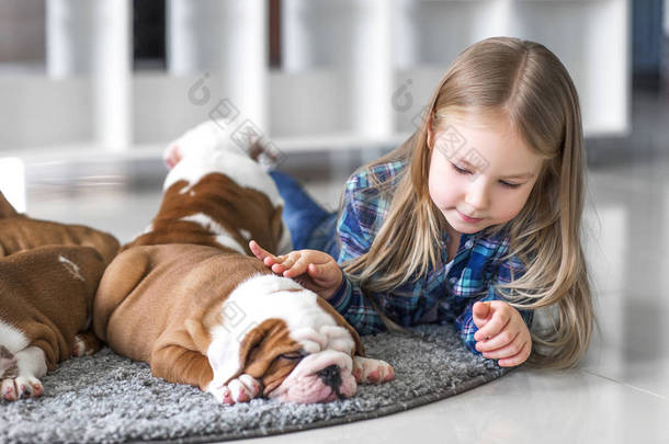 一个小女孩，可爱的小狗的斗牛犬之间的友谊