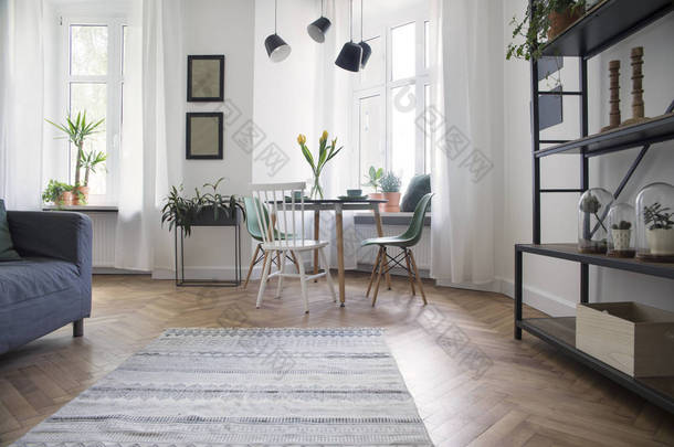 现代和设计扫描的开放式空间，厨房和客厅。阳光明媚的空间白色砖墙，<strong>大量</strong>的植物和坐.