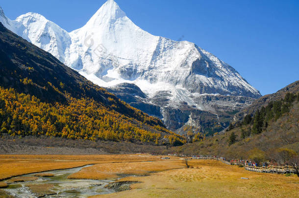 五颜六色<strong>的</strong>崇古草地和旅客走在与雪山<strong>的</strong>人行道<strong>上的</strong>背景在雅定自然保护区, <strong>四川</strong>, 中国