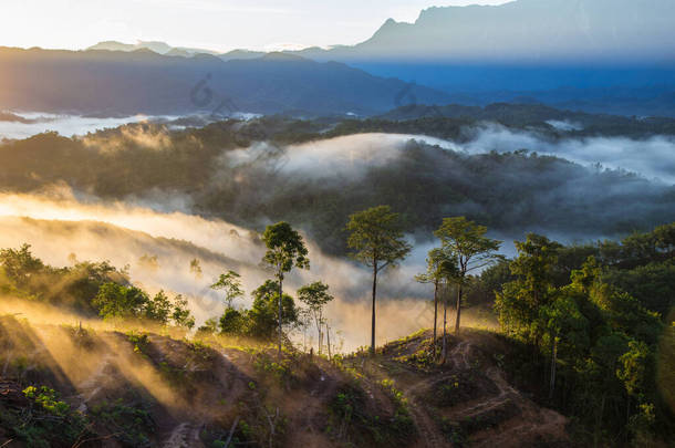 令人惊奇的美丽自然景观日出与自然薄雾和Kinabalu山，沙巴，婆罗洲