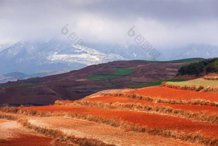 日落时分，麦田梯田和雪山的绚丽景观.