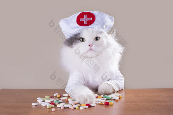 猫在诉讼中医生给药