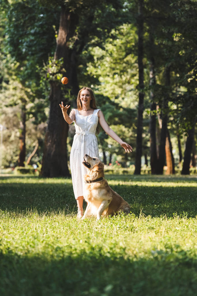 全长视图美丽的女孩在白色礼服玩球与金色的猎犬在草地上