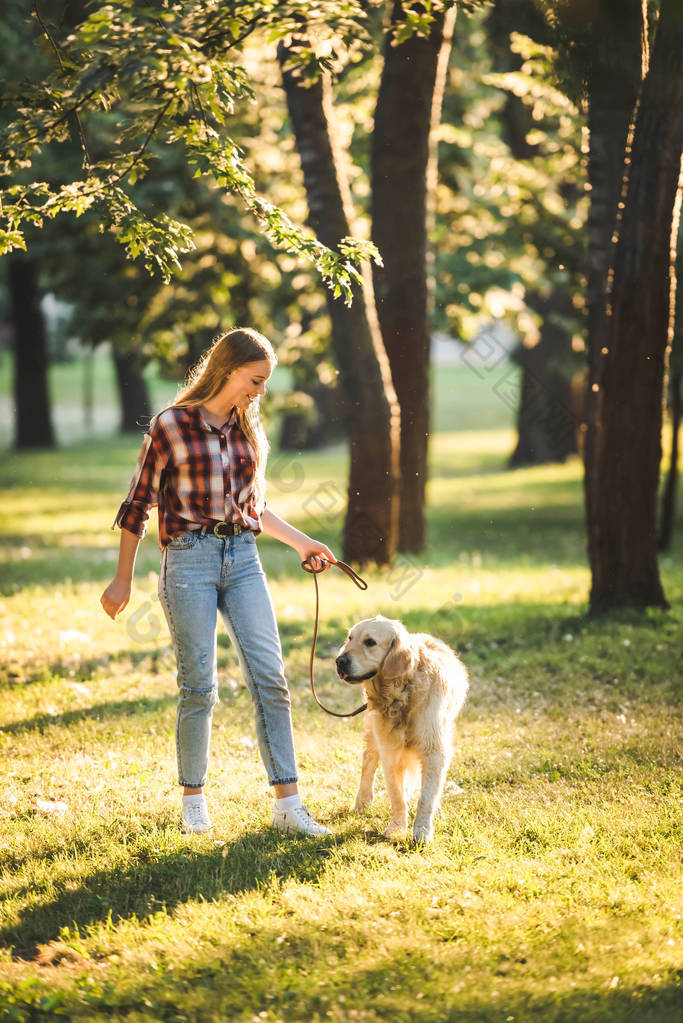 女孩在休闲衣服走与金色的猎犬在草地上的全长视图 