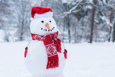 在圣诞老人帽子, 围巾和棒球手套我冬天公园的雪人的关闭视图