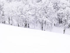 雪覆盖了山中的自然