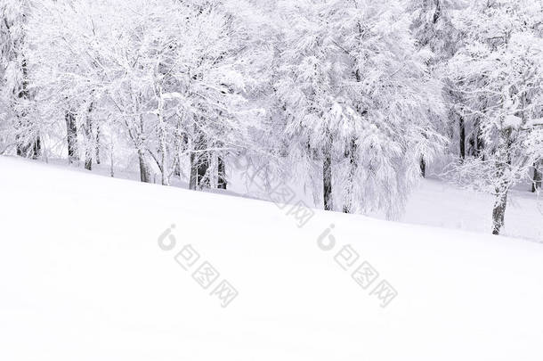 雪覆盖了山中的自然