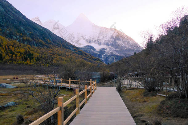 背景是白雪覆盖的崇谷草甸