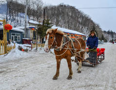 哈尔滨, 中国-2018年2月23日。中国哈尔滨雪村的冬季雪橇骑行.