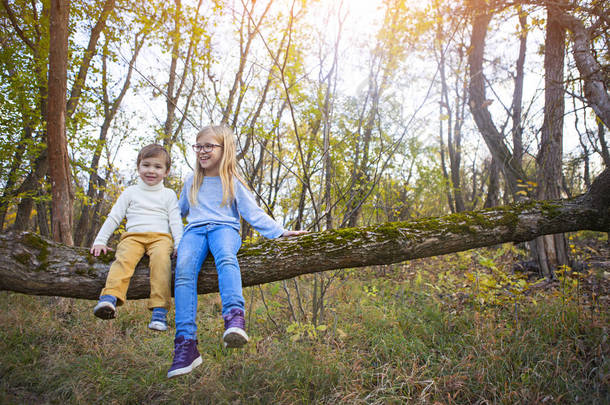 秋天的时候，弟弟和姐姐坐在树上