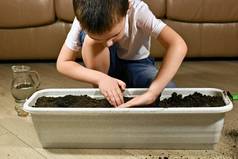 孩子用双手小心地用陶罐中的泥土盖住种子.