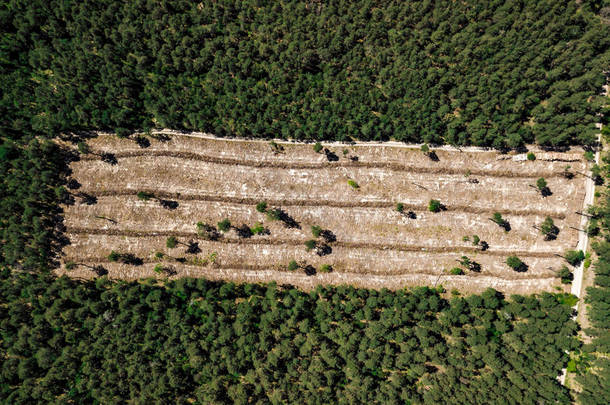 非法砍伐森林，空森林角空中摄影与无人机