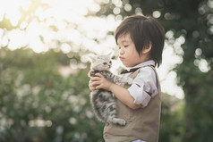 亚洲男孩控股美国短发小猫 