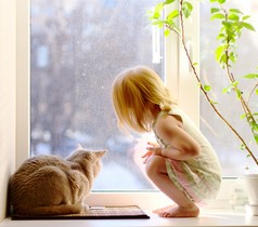 女孩和猫窗口望出去，