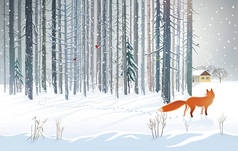 冬天森林风景与饥饿的狐狸望着树林里的一个人的住所