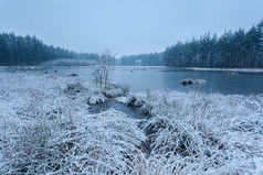 湖上的雪的冬天的早晨