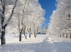 冬季公园在雪中