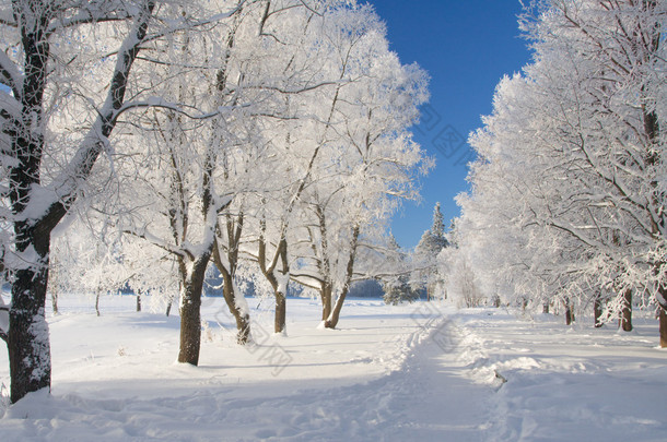 冬季公园在雪中
