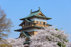 樱花和高岛城堡