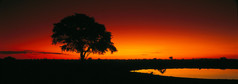 在坦桑尼亚的日落美景