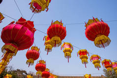 传统中国红灯笼挂在树上，庆祝新的一年