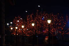 街道树木的树枝, 用红色的灯光装饰着.