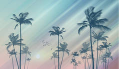 日落或日出时热带棕榈树的剪影
