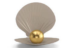 白色的贝壳, 金色的珍珠 isolatedon 白色的背景。3d 