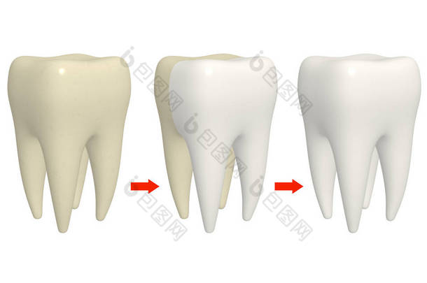 清洗牙齿的过程。人牙用不同的搪瓷颜色。在白色背景下被隔离。3d 渲染