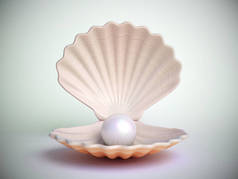 珍珠内贝壳分离白色背景3d 渲染