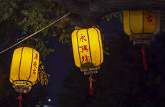 亮黄色纸中国灯笼挂在树间的夜晚.