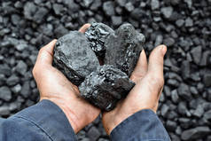 工人矿工手中的煤。图片可用于煤炭开采、能源或环境保护的理念.